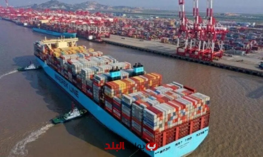 الجمارك تطلق إجراءات مبتكرة لتعزيز جودة الصادرات الغذائية