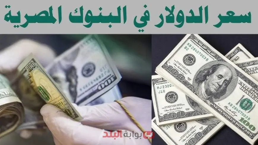 سعر الدولار مقابل الجنيه المصري اليوم الخميس 11 سبتمبر 2025 يشهد استقرارًا في البنوك وتباينًا بالسوق