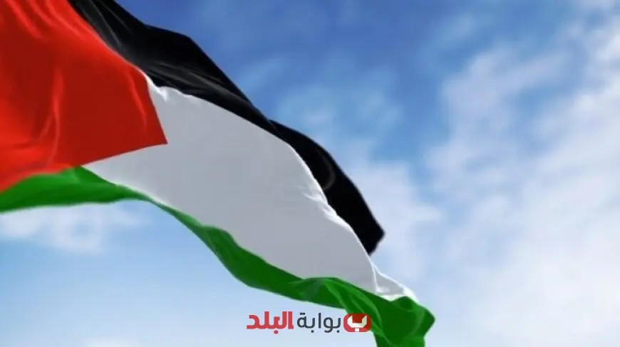 مندوب باكستان في الأمم المتحدة يبرز أهمية الالتزام بالقانون الدولي لتحقيق دولة فلسطينية متصلة الأراضي