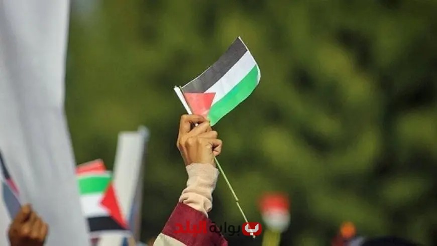 ممثلة اليونان بالأمم المتحدة تؤكد أن حل الدولتين يمكن أن ينهي دوامة العنف المستمرة