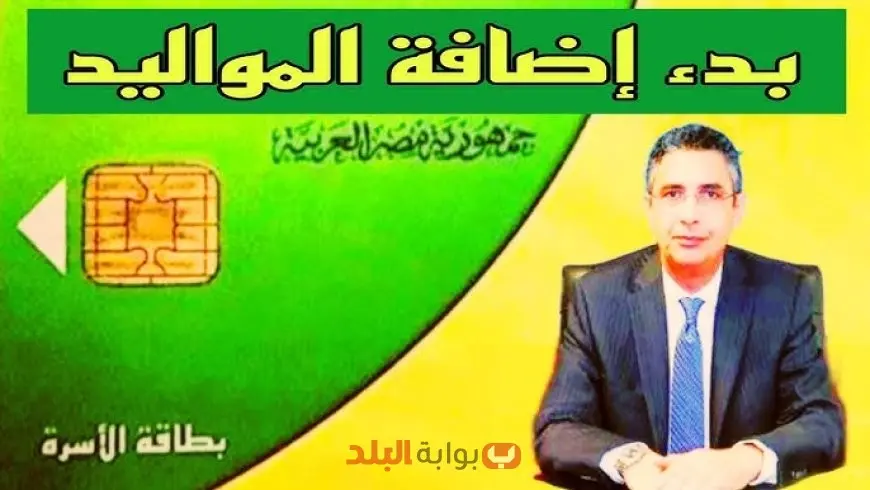 الحكومة تعلن تفاصيل إضافة المواليد على البطاقات التموينية 2025 عبر بوابة مصر الرقمية لإضافة المواليد