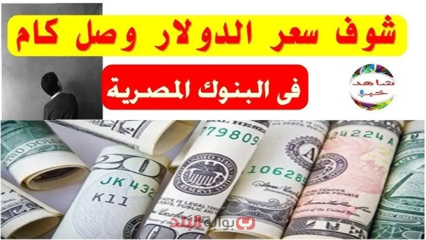 سعر الدولار اليوم في البنوك المصرية 12 سبتمبر 2025.. استقرار حذر وتحركات طفيفة بين البنوك الخاصة والحكومية