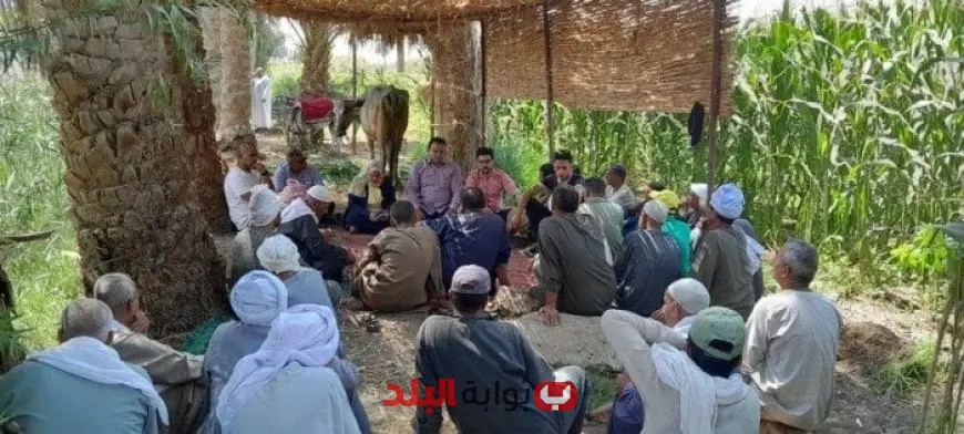 إطلاق حملة توعية للمزارعين لتعزيز التوسع في المحاصيل الزيتية عبر الزراعة التعاقدية