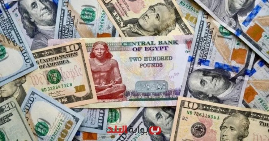 سعر الدولار اليوم السبت 13 سبتمبر 2025 يسجل 48.15 جنيه في بنكي مصر والأهلي