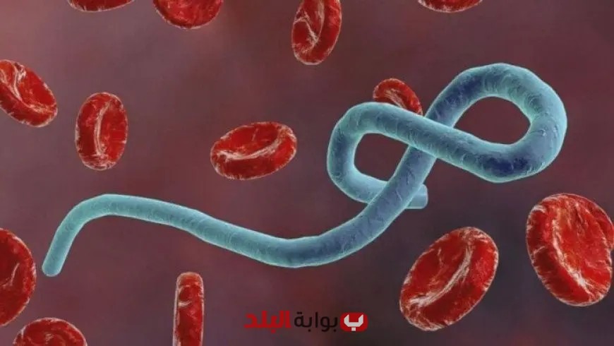 زيادة ملحوظة في عدد حالات الاشتباه بفيروس إيبولا في جمهورية الكونغو الديمقراطية