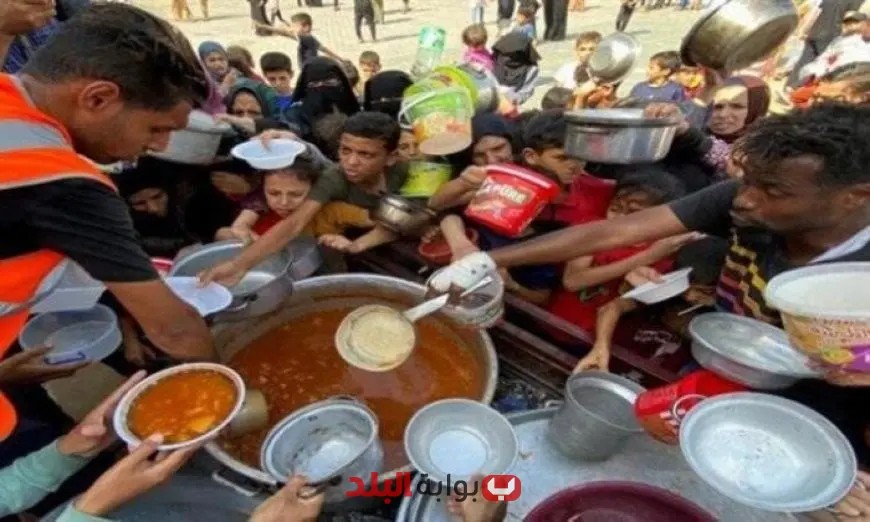 مأساة إنسانية في غزة 422 وفاة بينهم 145 طفل بسبب المجاعة وسوء التغذية