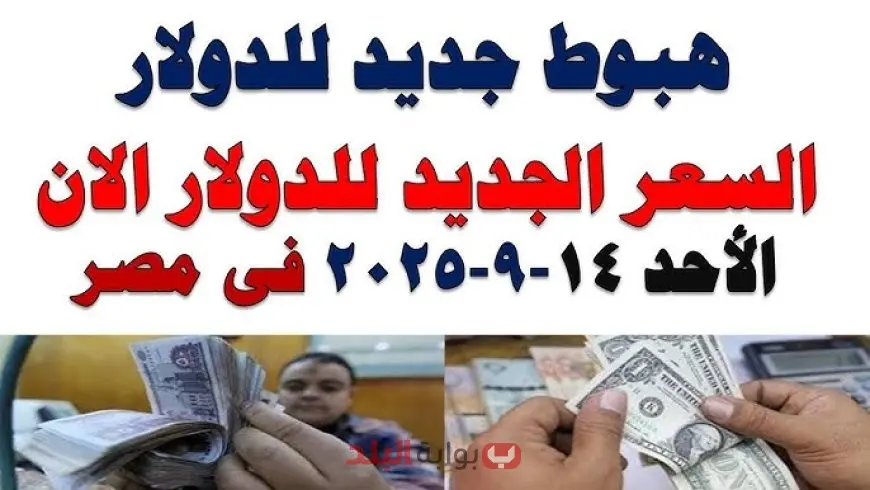سعر الدولار اليوم في البنك الأهلي المصري يتراجع أمام الجنيه وسط استقرار ملحوظ في السوق