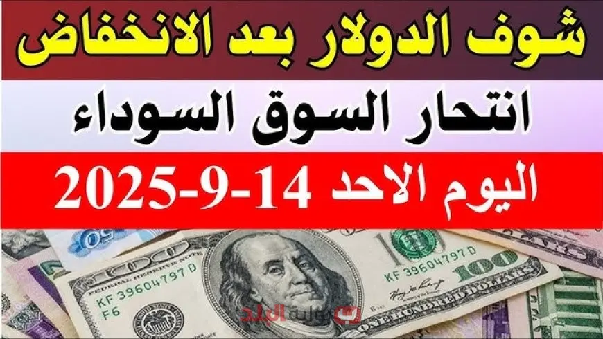 انخفاض.. سعر الدولار اليوم في السوق السوداء مقابل الجنيه المصري.. أسباب القفزة وتحليل شامل لتأثيراته