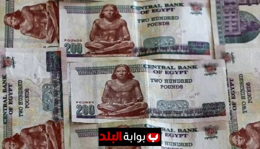 قرار البنك المركزي يغير المشهد سعر الفائدة على شهادات الادخار في بنك مصر يثير اهتمام العملاء