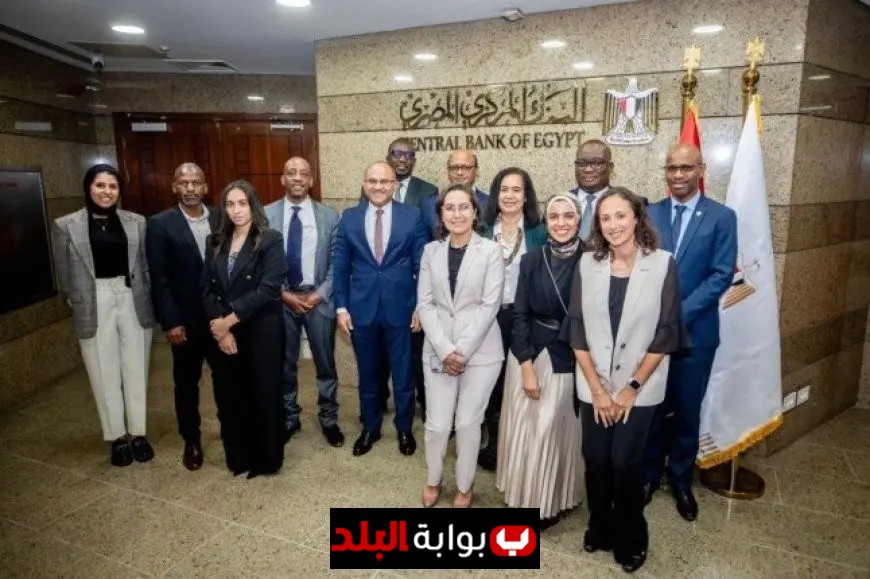 المركزي المصري يستضيف الاجتماع الأول لمجموعة عمل تقرير الاستقرار المالي الإفريقي لتعزيز التعاون المالي القاري