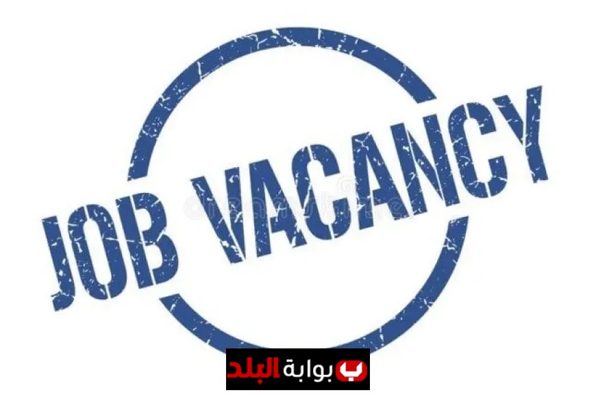 الحكومة المصرية تتوقع خلق 1.5 مليون وظيفة جديدة حتى عام 2050