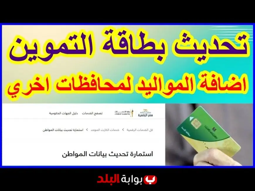 إضافة المواليد لبطاقة التموين 2025.. الشروط والخطوات لتحديث بيانات أسرتك بسهولة