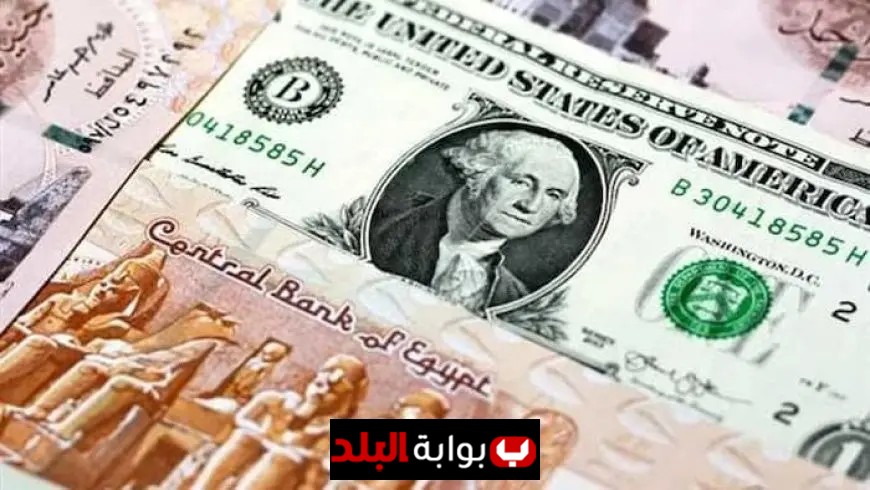 الجنيه يرتفع أمام الدولار الأمريكي ويعكس اتجاهات السوق العالمية