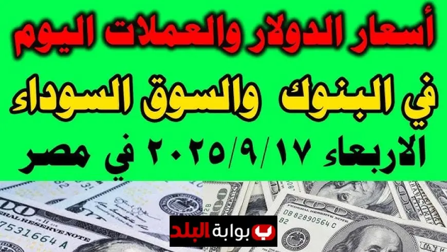 سعر الدولار اليوم البنك الأهلي المصري يقفز أمام الجنيه مقارنة بالبنوك الأخرى وتحديث مستمر لأسعار العملات