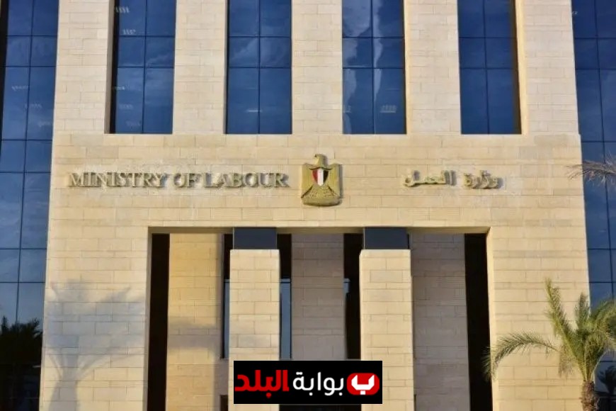 دورات تدريبية مجانية من العمل لتنمية المهارات في التسويق الرقمي والذكاء الاصطناعي