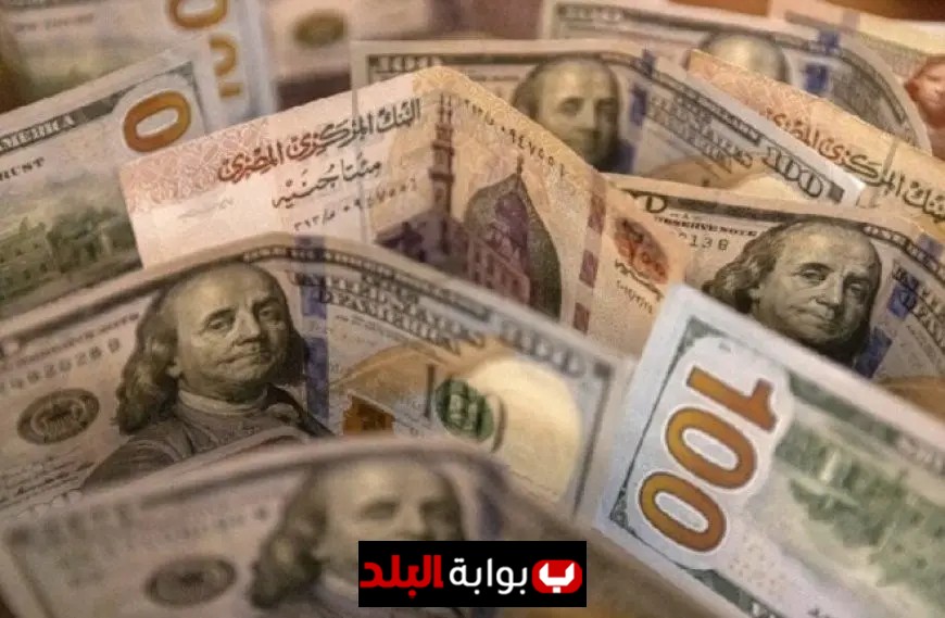 هل يؤثر قرار الفيدرالي على أسعار الدولار والجنيه في مصر مع اقتراب حسم الفائدة؟
