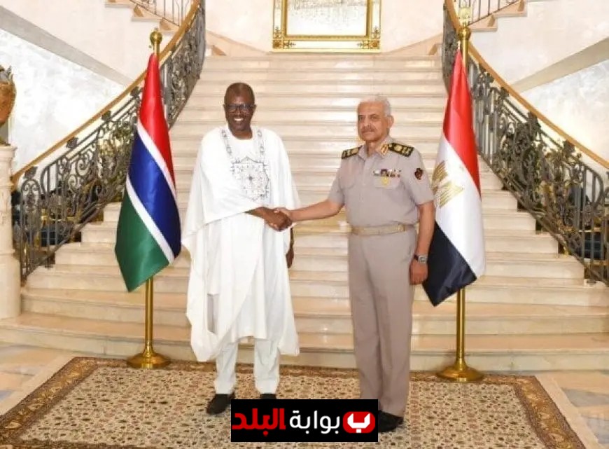 الفريق أول عبد المجيد صقر يلتقي وزير دفاع جامبيا لتعزيز التعاون العسكري بين البلدين