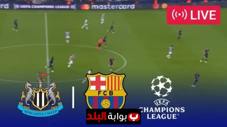 Champions League Live Updates: Man City vs Napoli, Newcastle vs Barcelona – Scores, Highlights & Reactions