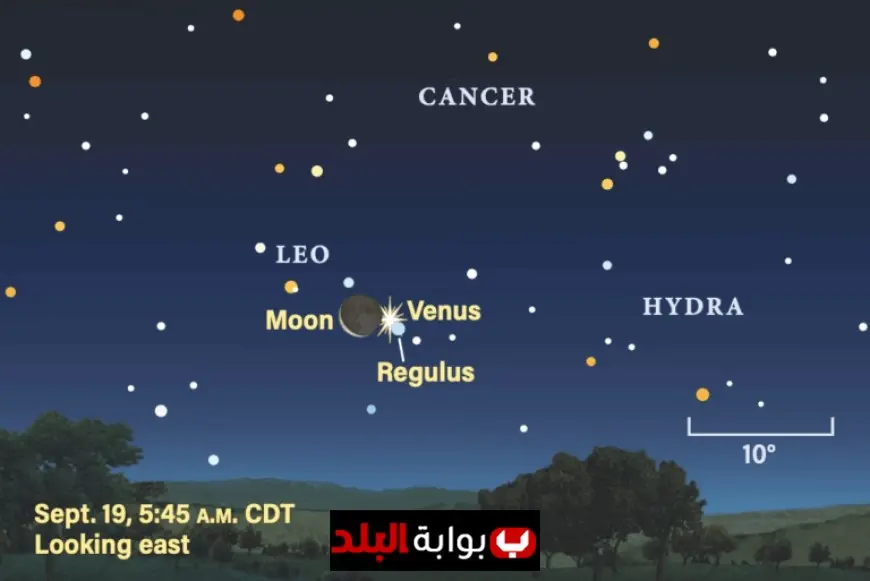 Moon and Venus Tonight: Don’t Miss the Stunning Alignment with the Bright Star Regulus in the Pre-Dawn Sky