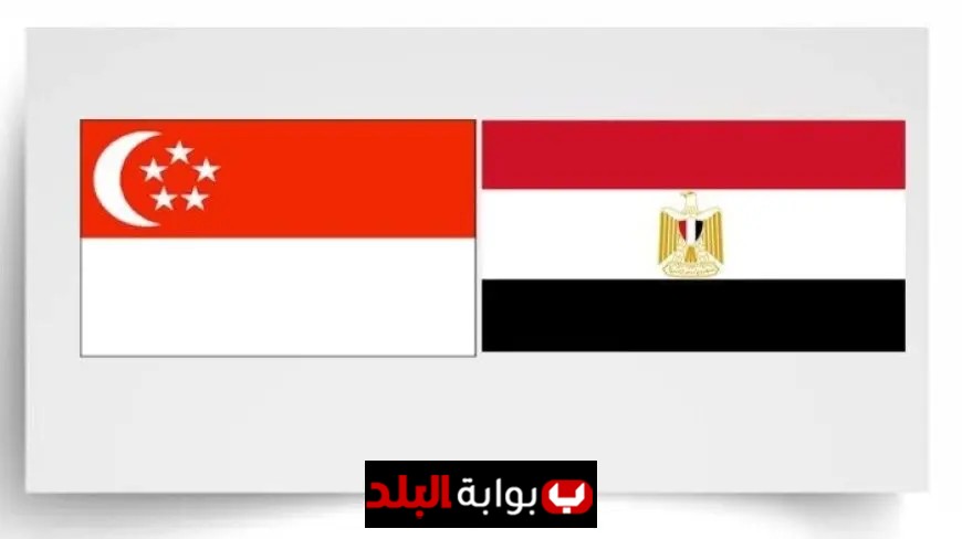 تجارة بين مصر وسنغافورة تصل إلى 137 مليون دولار خلال 6 أشهر