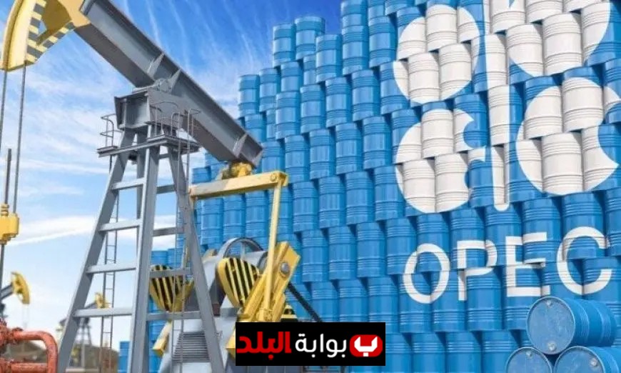 معلومات الوزراء تكشف تفاصيل تقرير الوكالة الدولية للطاقة عن توقعات سوق النفط العالمي في 2025