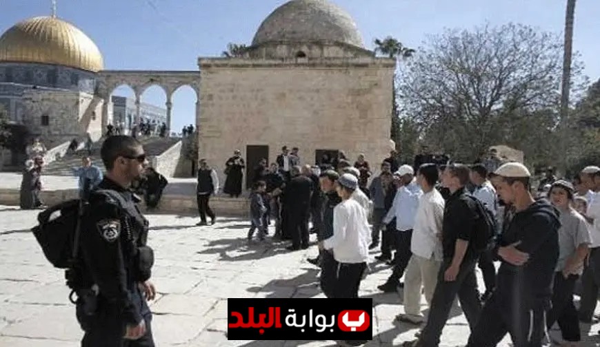 عشرات المستوطنين يستعرضون اقتحام المسجد الأقصى تحت حماية شرطة الاحتلال