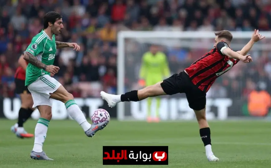 How to Watch Bournemouth vs Newcastle Live: Streams, TV Channel, Kick-Off Time, Team News and Match Prediction