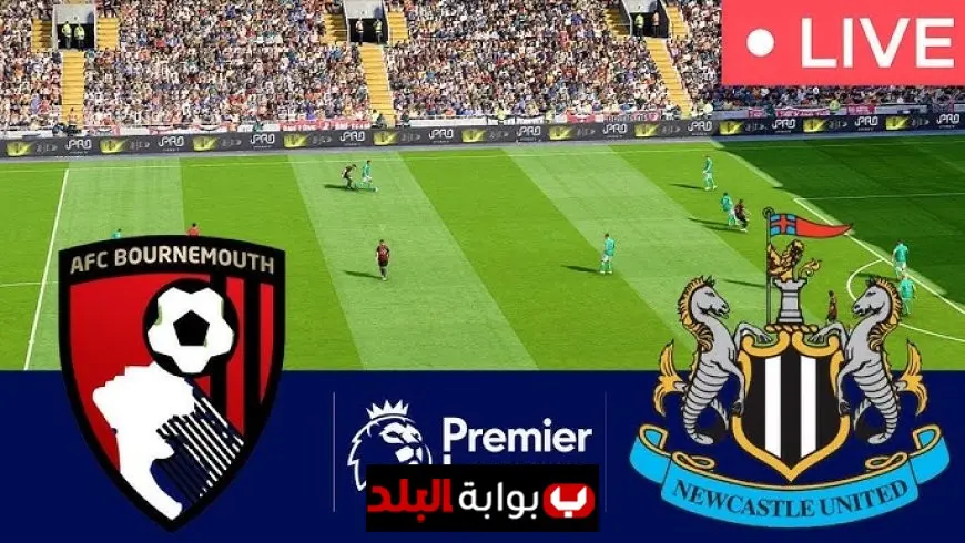 Bournemouth vs Newcastle Live Now Minute by Minute: Early Dominance from the Cherries in Premier League Clash