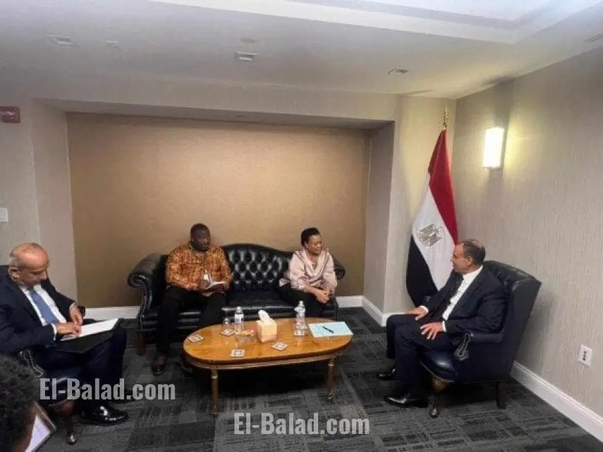 وزير الخارجية يثني على التحول الكبير في الآلية الأفريقية لمراجعة النظراء