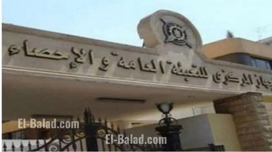 انخفاض ملحوظ في أعداد العمالة الأجنبية في القطاع العام حسب إحصائيات جديدة