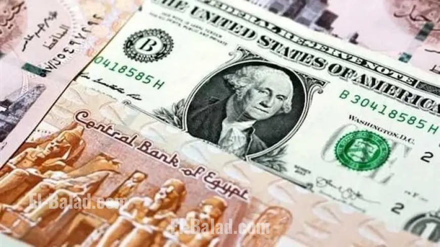 سعر الدولار اليوم الثلاثاء في البنك الأهلي المصري مع تحديثات حية فورية