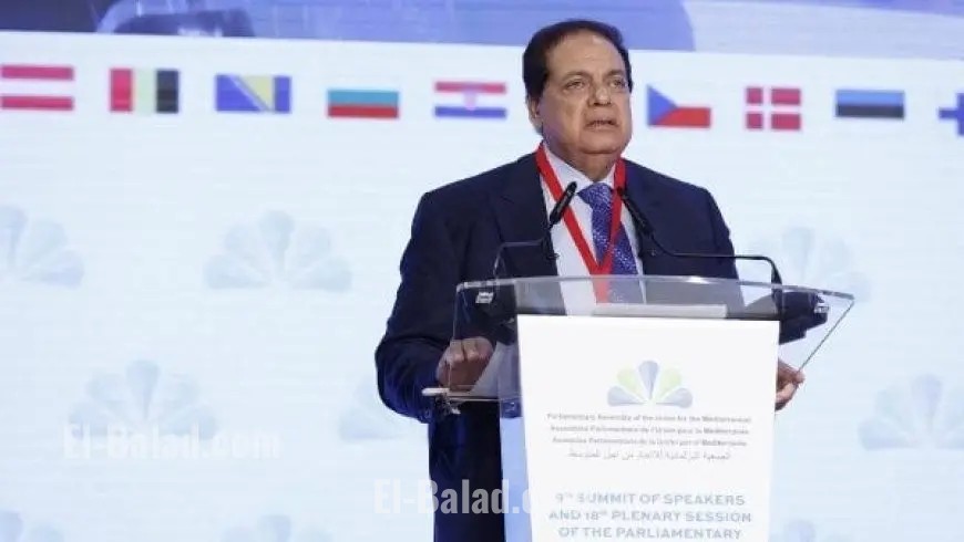 الاتحاد من أجل المتوسط يحتفي بالاعتراف المتزايد بالدولة الفلسطينية
