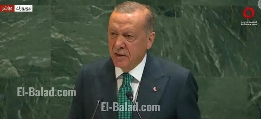 أردوغان يطلب من الدول غير المعترفة بفلسطين إعادة النظر في مواقفها