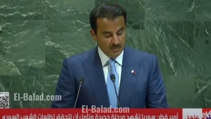 أمير قطر يحذر من نوايا إسرائيل لفرض سيطرتها على العالم العربي واتهام المعارضين بالإرهاب