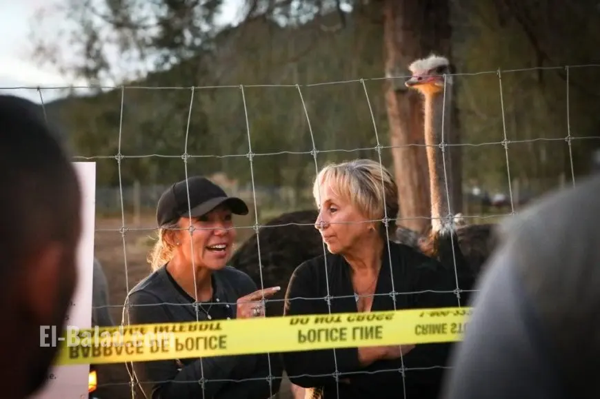 B.C. Ostrich Farm Battle: Legal Fights, Avian Flu Outbreak, and Government Cull Orders Spark National Debate