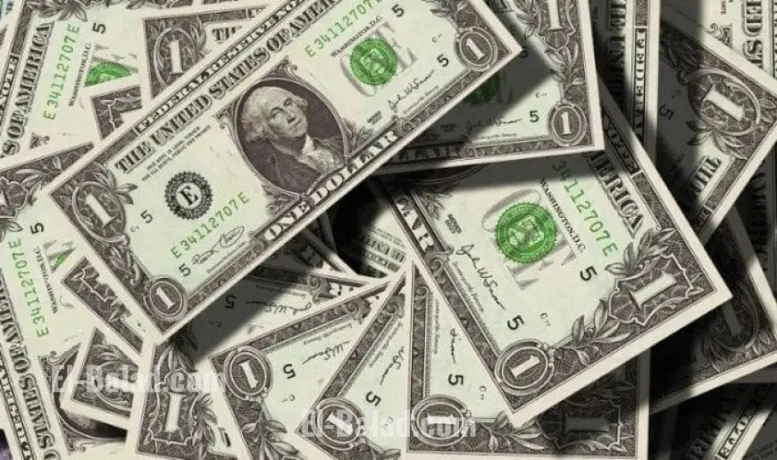 سعر الدولار مقابل الجنيه المصري اليوم الأربعاء في البنوك وأسواق الصرافة يشهد استقراراً نسبياً