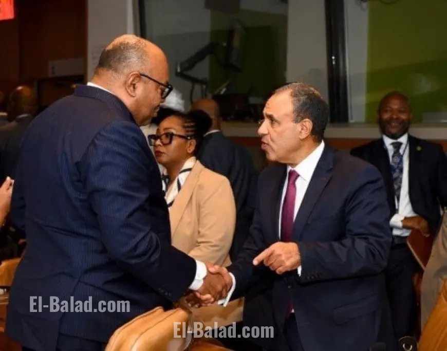 وزير الخارجية يدعو نظيره من تنزانيا لحضور منتدى أسوان للسلام