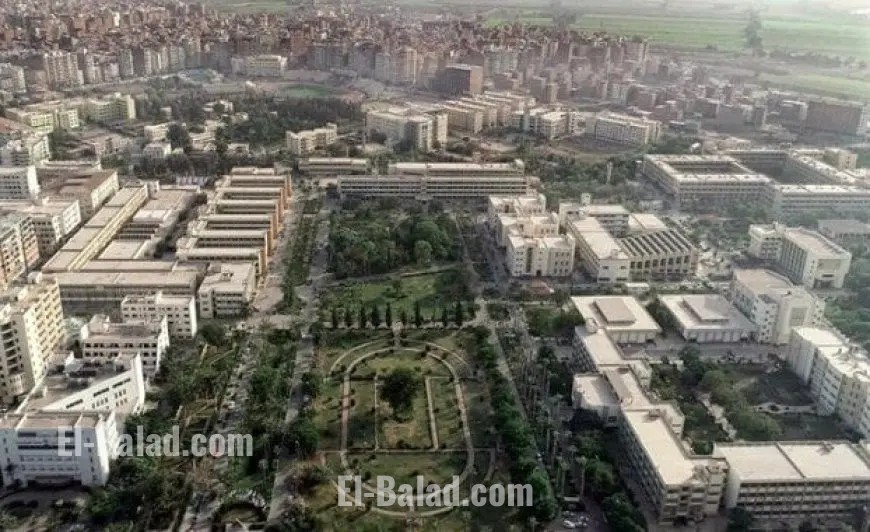 جامعة المنصورة تضمن 83 عالمًا ضمن الأكثر تأثيرًا في تصنيف ستانفورد 2025