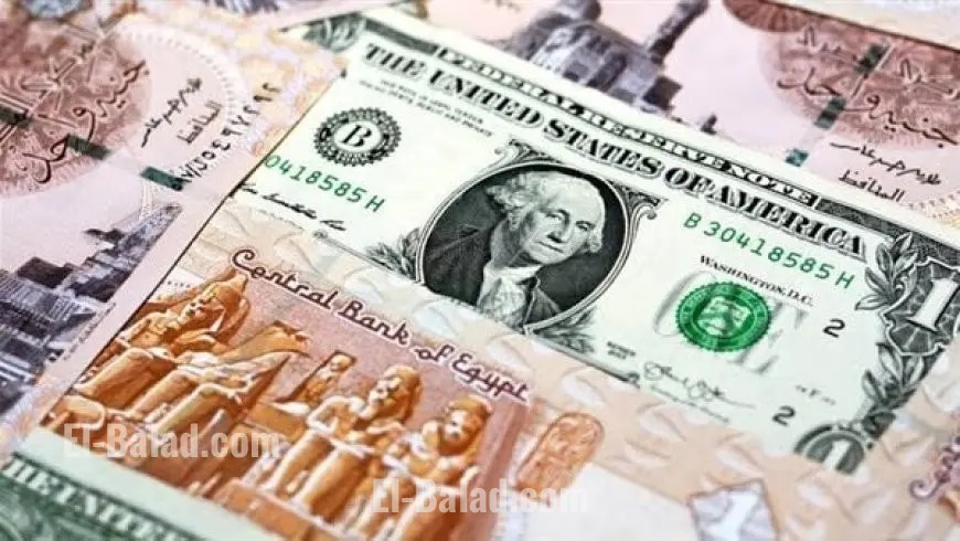 استقرار سعر الدولار في تعاملات الجمعة 26 سبتمبر 2025 وكيفية تأثيره على السوق
