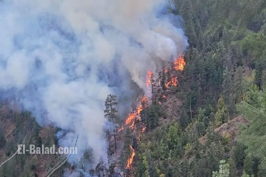 Peachland Fire Today: Munro Lake Wildfire Forces Evacuations, Hundreds of Homes Under Threat in British Columbia