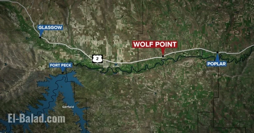 Active Shooter Alert in Wolf Point Raises Alarms