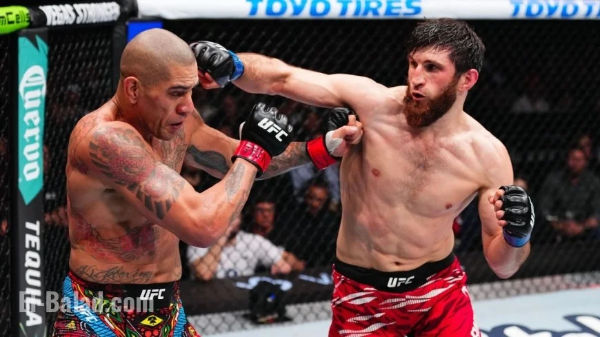 Pereira Reveals He Battled Ankalaev at Only 40 Percent Capacity