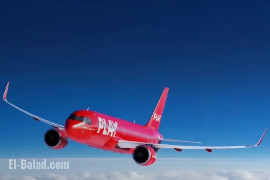 Low-Cost Airline Collapses: Essential Information for Affected Passengers and Their Flights