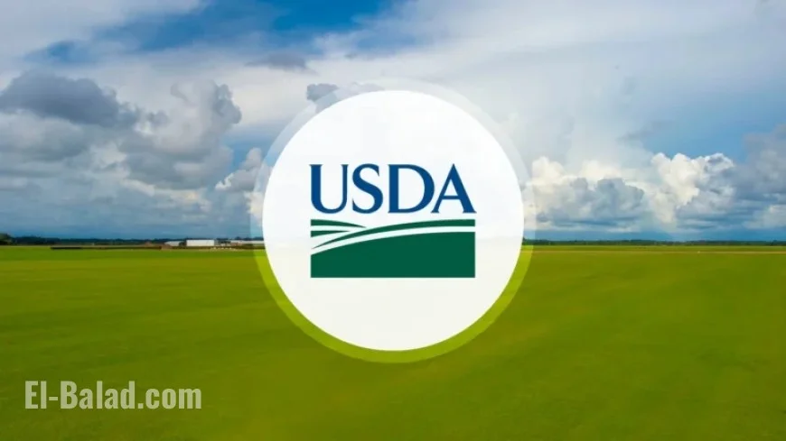 USDA Awards $531 Million Grant to Support Agricultural Recovery in Georgia