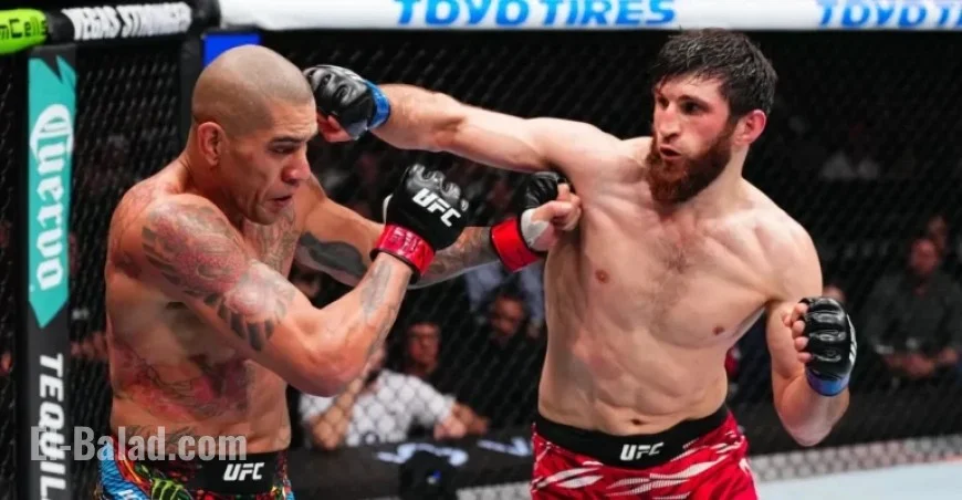 Magomed Ankalaev’s Coach Criticizes Alex Pereira Ahead of UFC 320 Calling Him an Old Kickboxer