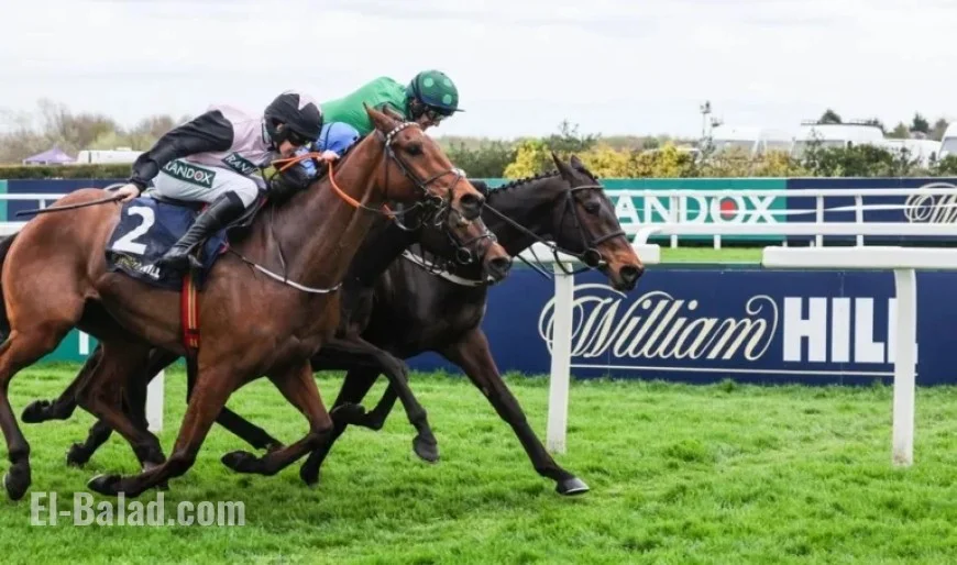William Hill Boosts Ireland’s Smaller Yards with €135,000 Series Sponsorship