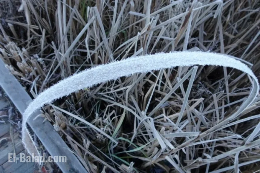 North Bay Faces Frost Advisory Warning