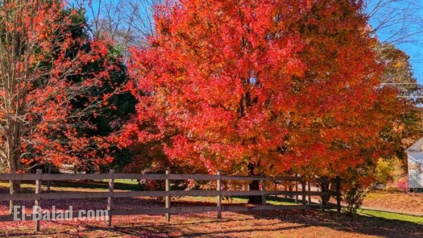 Explore Southern New England’s Serene Foliage and Quaint Towns