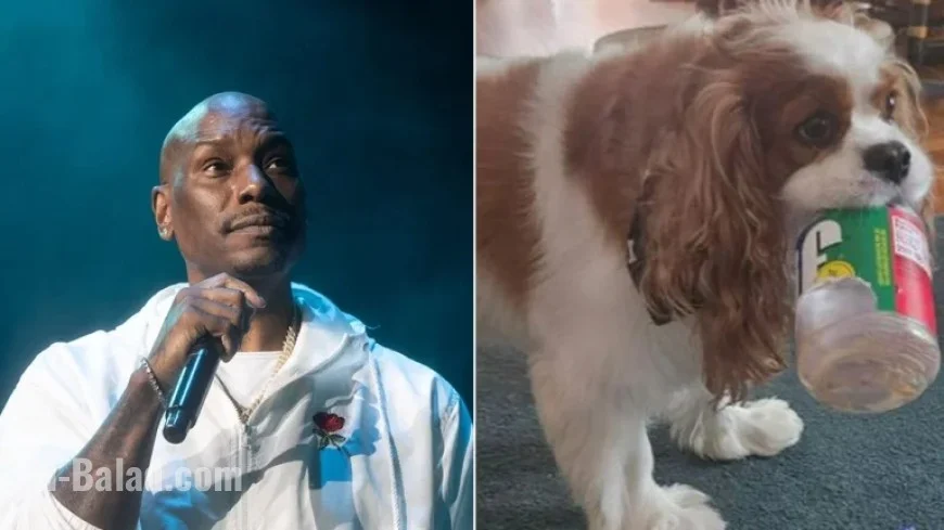 Arrest Warrant Issued for Tyrese Gibson as Dogs Allegedly Kill Neighbor’s Pet