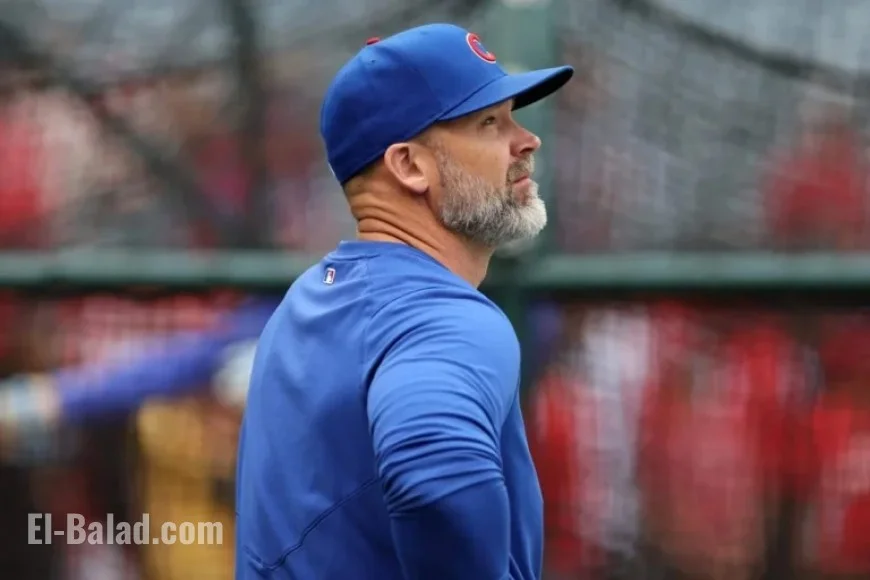 Cubs Return to Playoffs; David Ross Seeks Managerial Success